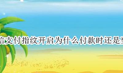 为什么微信支付开通了指纹支付还要密码 微信支付指纹开启为什么付款时还是