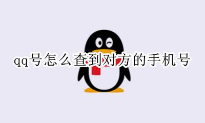 qq号怎么查到对方的手机号 如何通过qq号查到对方手机号