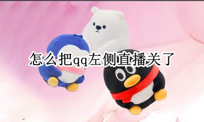 qq直播在哪里关 怎么把qq左侧直播关了