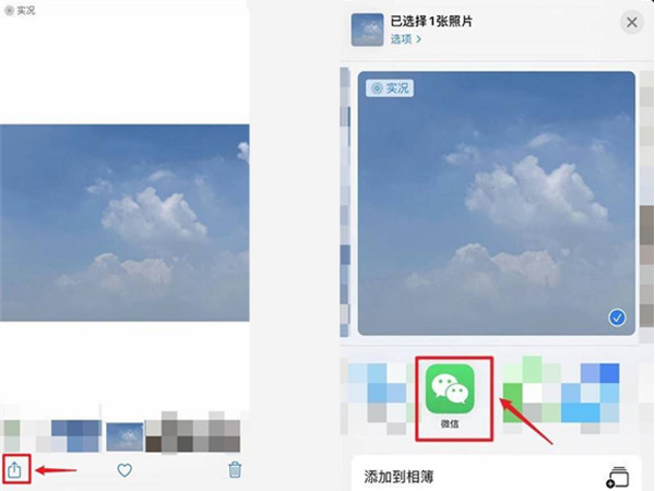 苹果live动图怎么发给别人