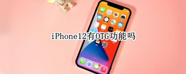 iPhone12有OTG功能吗
