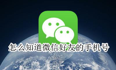 怎么知道微信好友的手机号 微信好友怎么查看手机号码