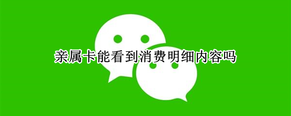 亲属卡能看到消费明细内容吗