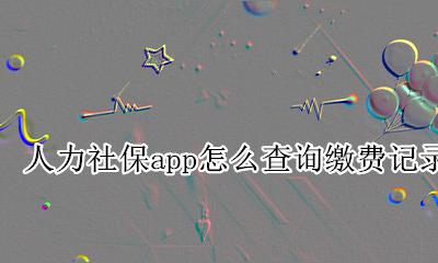 人力社保app怎么查询缴费记录 网上怎么查个人社保缴费信息查询