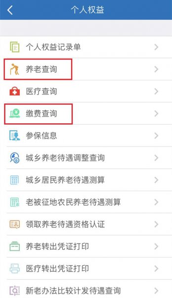 人力社保app怎么查询缴费记录