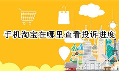 手机淘宝在哪里查看投诉进度 手机淘宝投诉在哪里查询进度