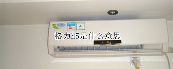 格力h5是什么意思