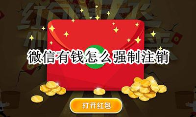微信有钱怎么强制注销 微信里有钱能注销微信支付吗