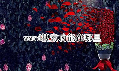 word 搜索在哪 word搜索功能在哪里