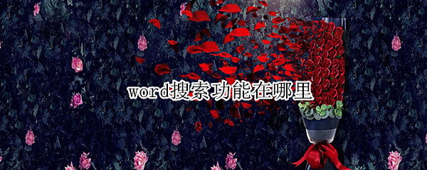 word搜索功能在哪里
