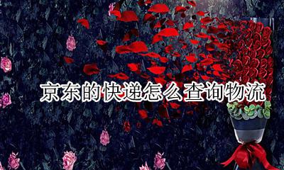 京东的快递如何查询 京东的快递怎么查询物流