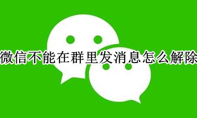 微信不能在群里发消息怎么解除 微信不能在群里发消息怎么回事