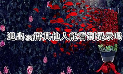 退出qq群其他人能看到提示吗 退出微信群其他人能看到提示吗