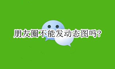 朋友圈不能发动态图吗? 朋友圈是不是不能发动态图