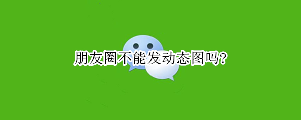 朋友圈不能发动态图吗？