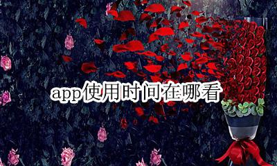 app使用时间在哪看 手机app使用时间查询
