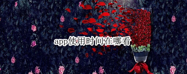 app使用时间在哪看