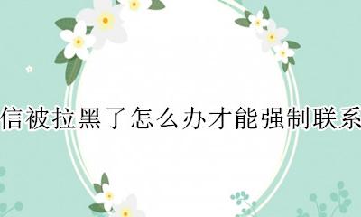 微信被拉黑如何联系对方 微信被拉黑了怎么办才能强制联系对方