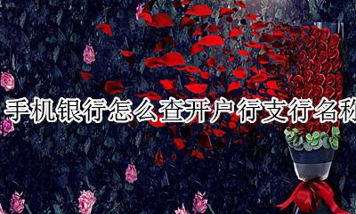 怎么在手机上查开户行名称 手机银行怎么查开户行支行名称