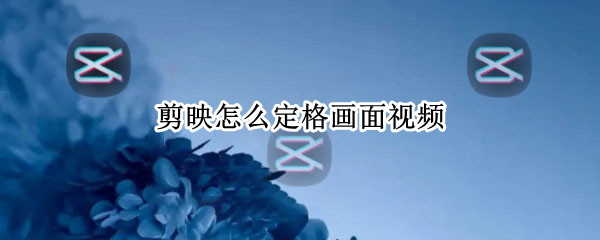 剪映怎么定格画面视频