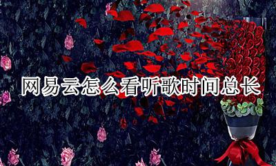 网易云怎么看听歌时间总长 网易云怎么查看听歌总时长