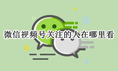 微信视频号关注的人在哪里看 微信视频号关注别人能看到吗