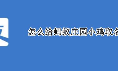 蚂蚁庄园怎么给鸡起名字 怎么给蚂蚁庄园小鸡取名字