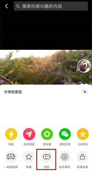 抖音合拍怎样只放别人视频