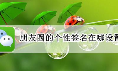 怎么设置朋友圈个性签名 朋友圈的个性签名在哪设置