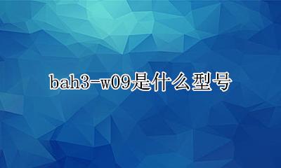 bah3-w3多少钱 bah3-w09是什么型号