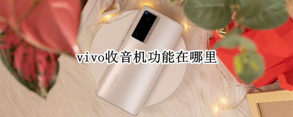 vivo收音机功能在哪里