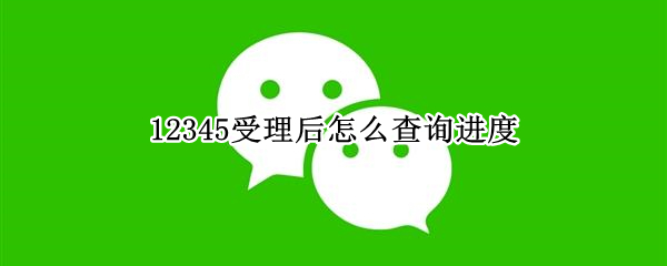 12345受理后怎么查询进度