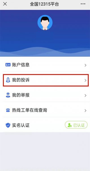 12345受理后怎么查询进度
