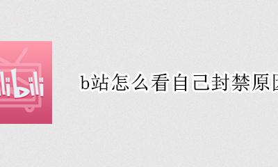 b站怎么看自己封禁原因 b站没有封禁 为什么显示封禁中