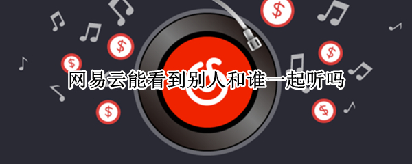 网易云能看到别人和谁一起听吗