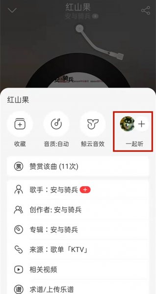 网易云能看到别人和谁一起听吗