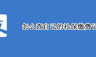 怎么查自己的社保缴费记录 怎样查到自己的社保缴费记录