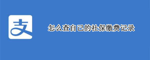 怎么查自己的社保缴费记录