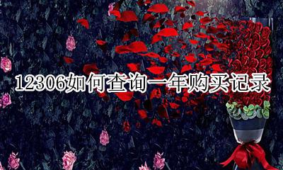 12306全部购买记录 12306如何查询一年购买记录