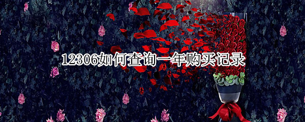 12306如何查询一年购买记录