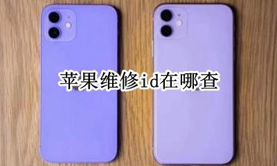 苹果维修id在哪查 苹果维修id怎么查