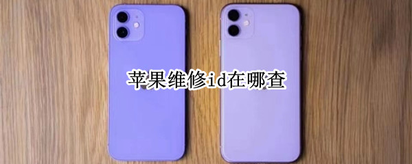 苹果维修id在哪查