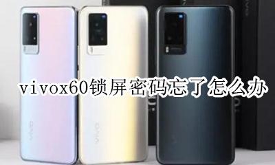 vivox60锁屏密码忘了怎么办 忘记手机锁屏密码怎么办vivox60