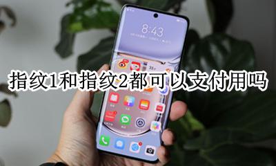 指纹支付只能一个指纹吗 指纹1和指纹2都可以支付用吗