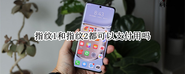 指纹1和指纹2都可以支付用吗