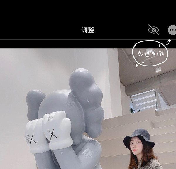 苹果放大器照片在哪里