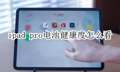 ipad pro电池健康度怎么看 ipad pro看不到电池健康度