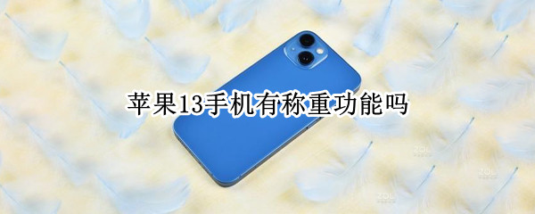 苹果13手机有称重功能吗