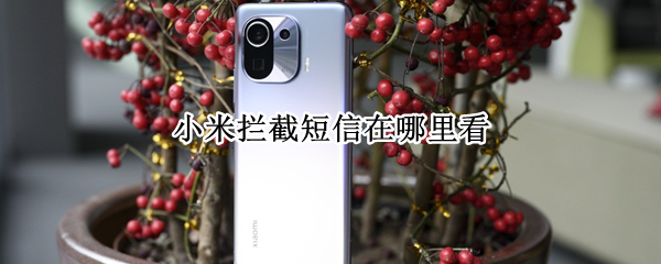 小米拦截短信在哪里看