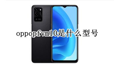 oppopfvm10是什么型号 oppopcdm10是什么型号
